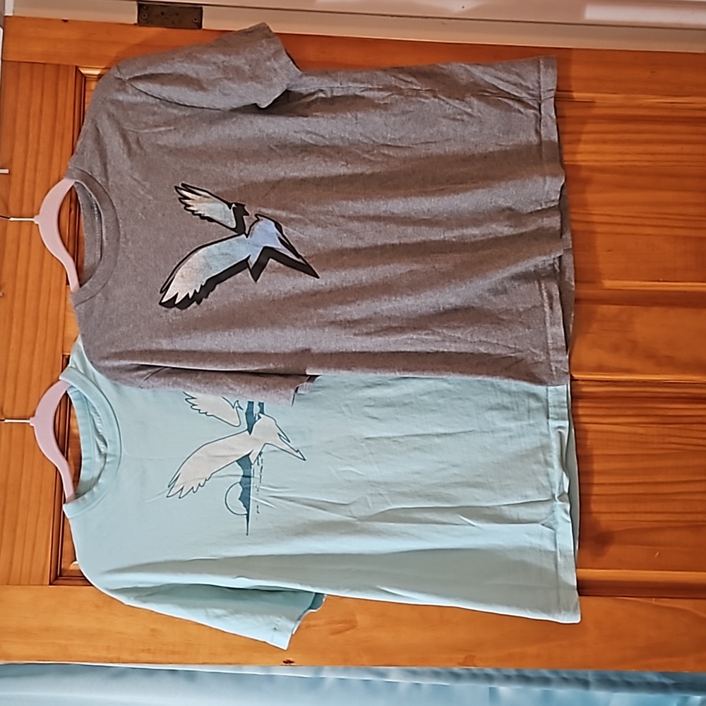 Two American Eagle t-shirts
